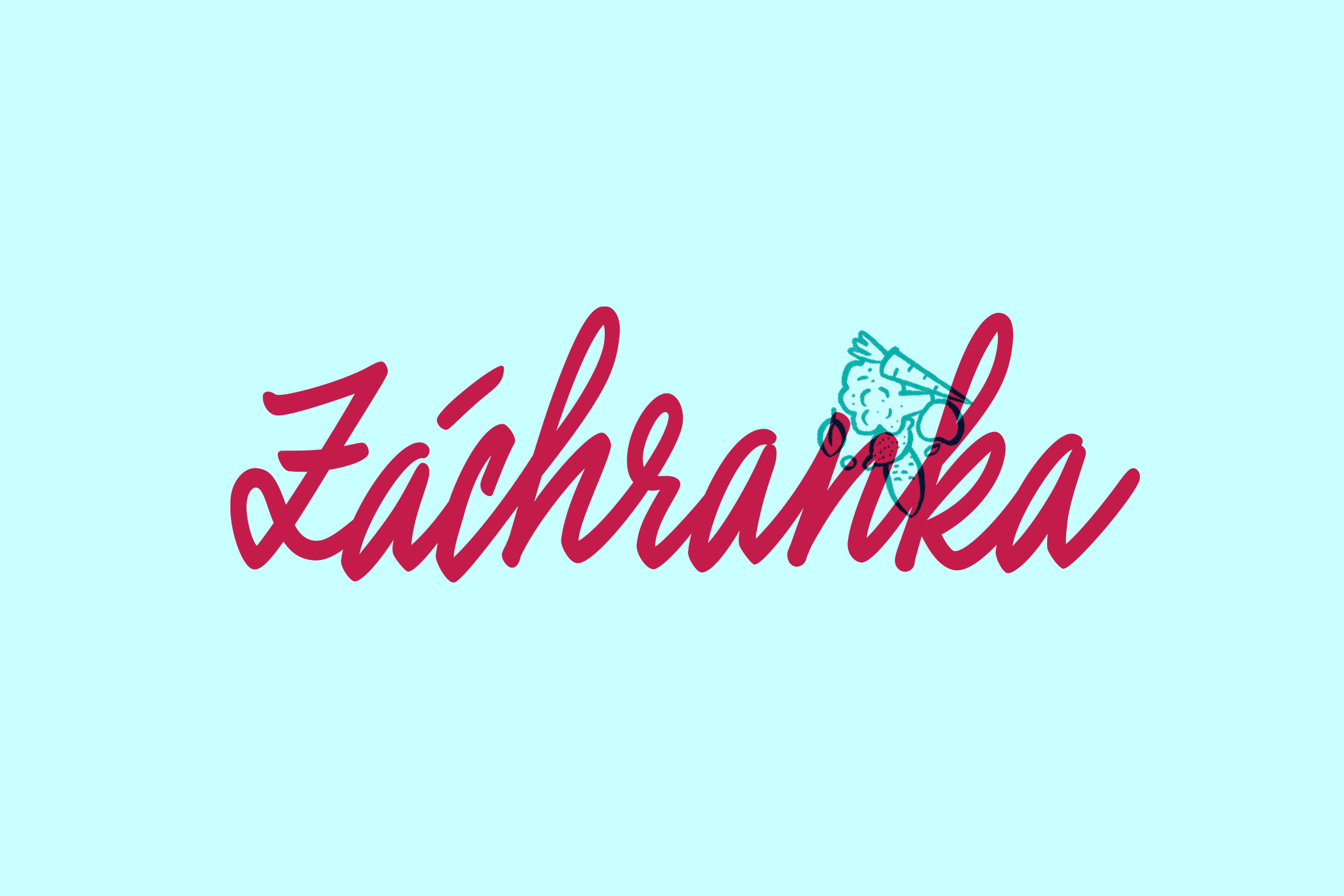 zachranka_ZACHRANKA
