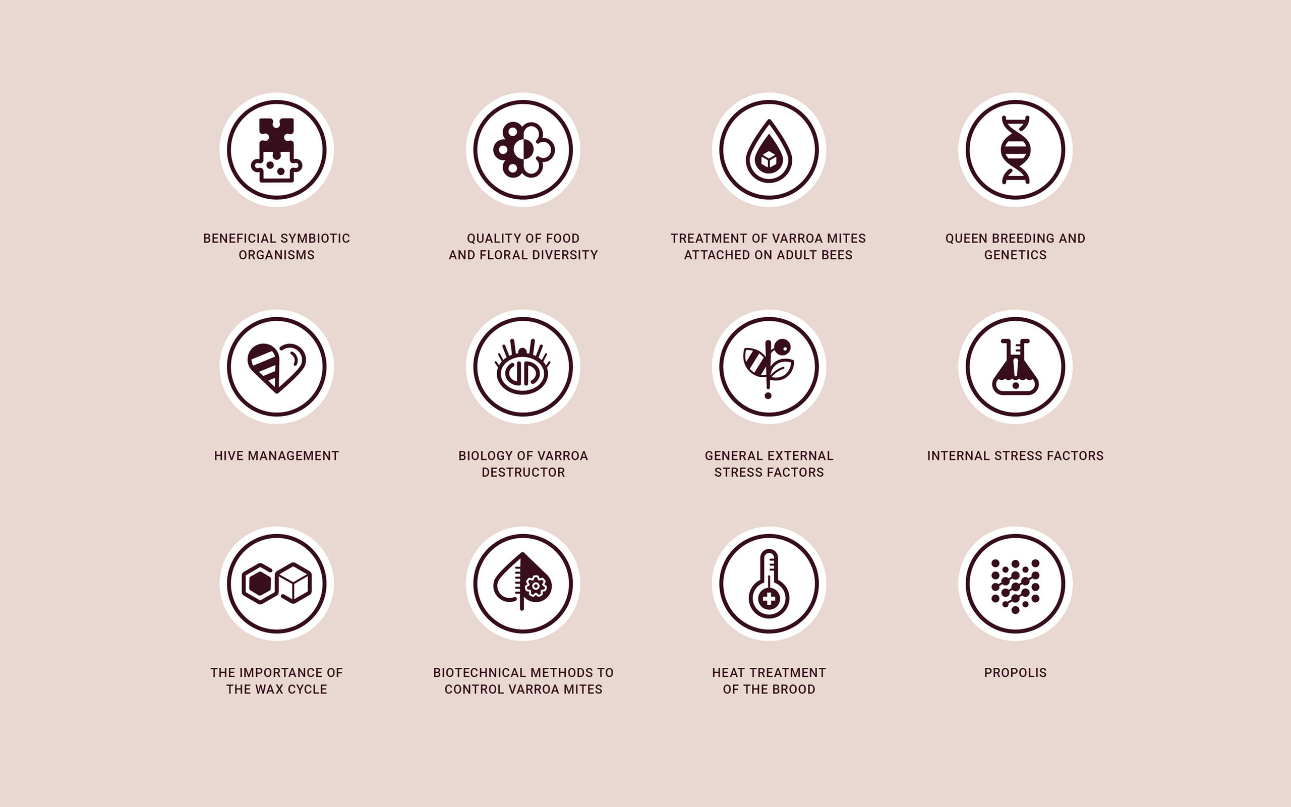 blesabee-icons